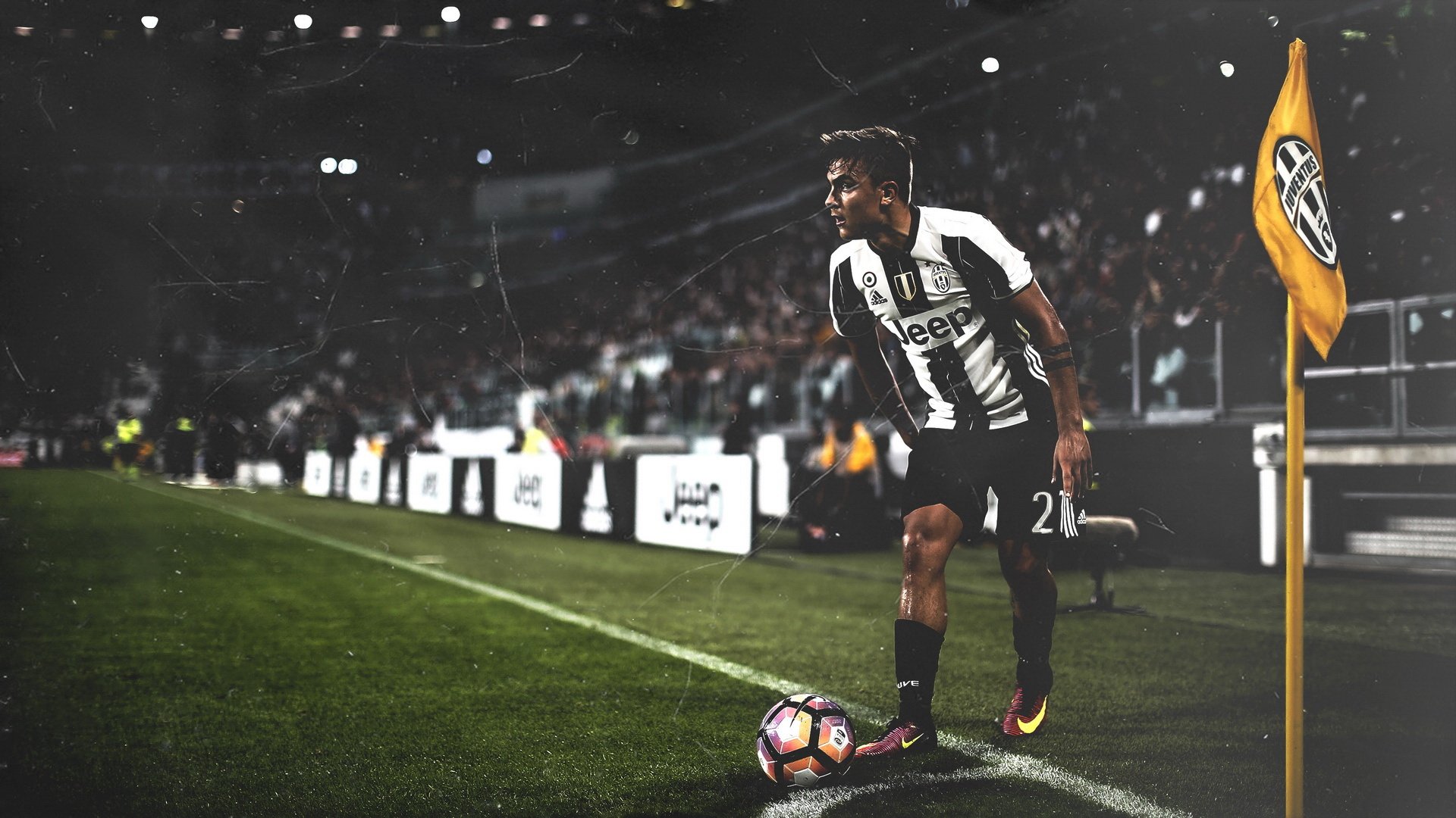 皇冠体育登录-莎拉波娃十五连败陷深渊，TL教头赌注压身坐火山口